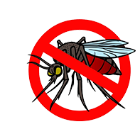 Mosquito Net Windows and Doors in Chennai